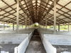 listing thumbnail image 13