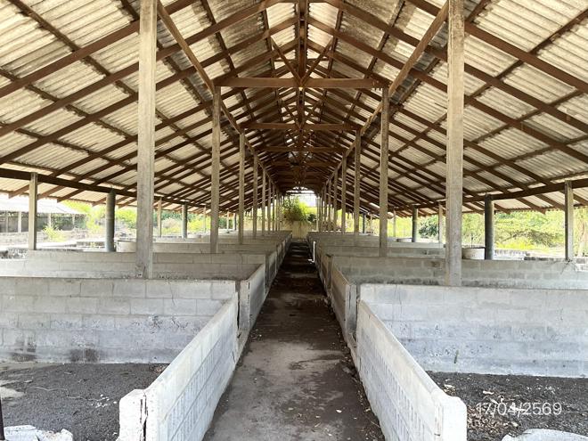 รูป ฟาร์ม 10017 ตร.วา โพธาราม ราชบุรี 12.4M - รูปที่ 14/45