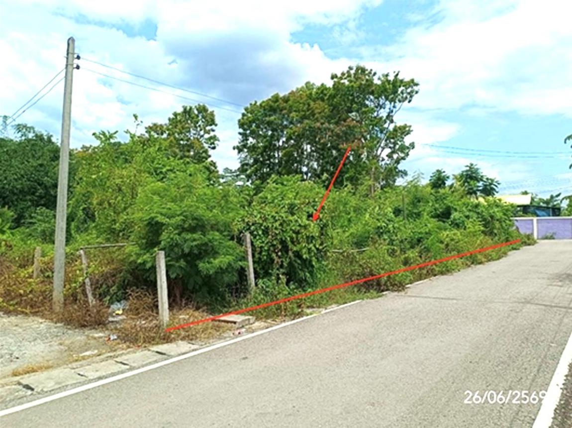 picture LAND 349.3 Sq.w. Dok Kham Tai Phayao for 1.2M - 12/21