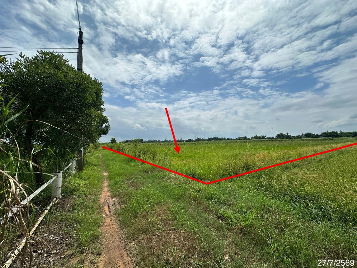 picture LAND 2520 Sq.w. Wang Thong Phitsanulok for 1.4M - 10/19