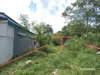 listing thumbnail image 12