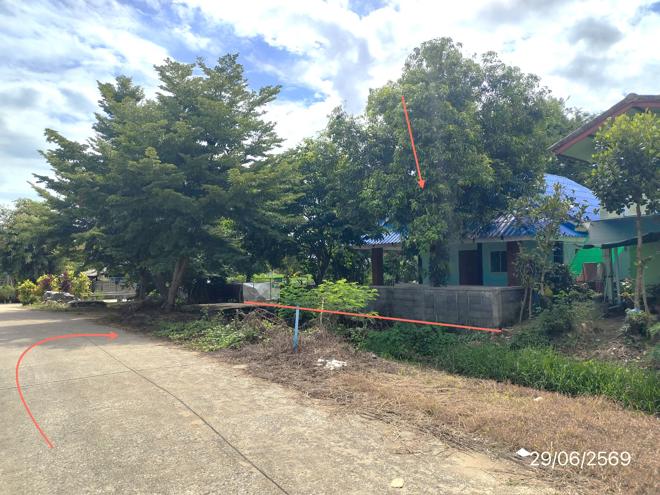 รูป บ้านเดี่ยว 69 ตร.วา เวียงชัย เชียงราย 1.1M - รูปที่ 11/25