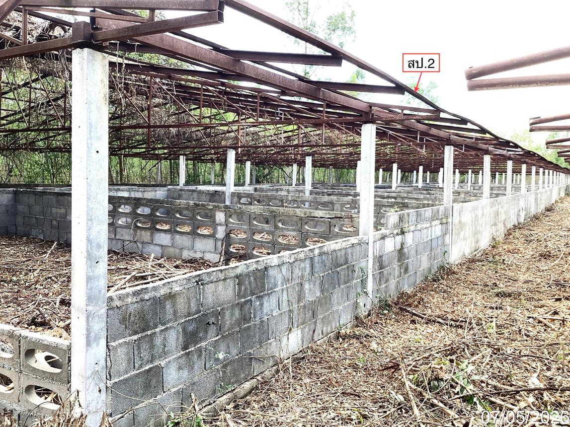 รูป ฟาร์ม 910.1 ตร.วา แก่งกระจาน เพชรบุรี 963,000 - รูปที่ 17/25