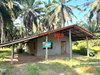 listing thumbnail image 15