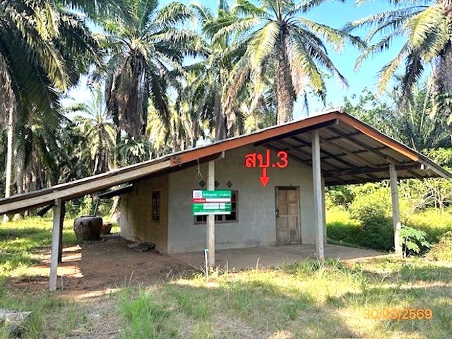 picture HOME 4176 Sq.w. Prasaeng Surat Thani for 3.7M - 16/55