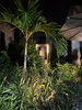 listing thumbnail image 44
