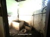 listing thumbnail image 22