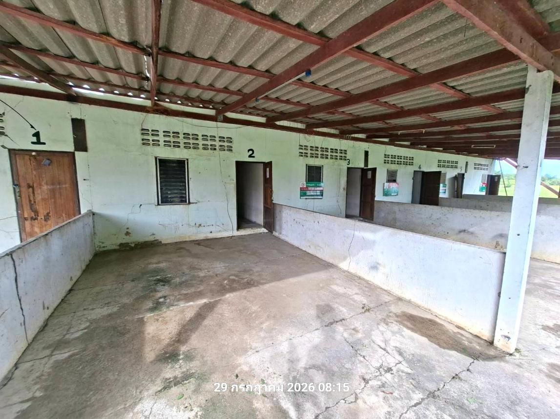 รูป บ้านเดี่ยว 200 ตร.วา บางระจัน สิงห์บุรี 846,000 - รูปที่ 29/43