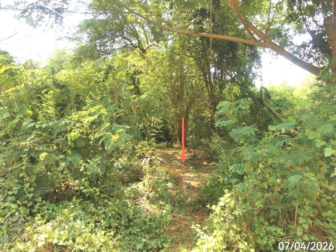 รูป ที่ดินว่างเปล่า 1603 ตร.วา ป่าโมก อ่างทอง 1.7M - รูปที่ 9/13
