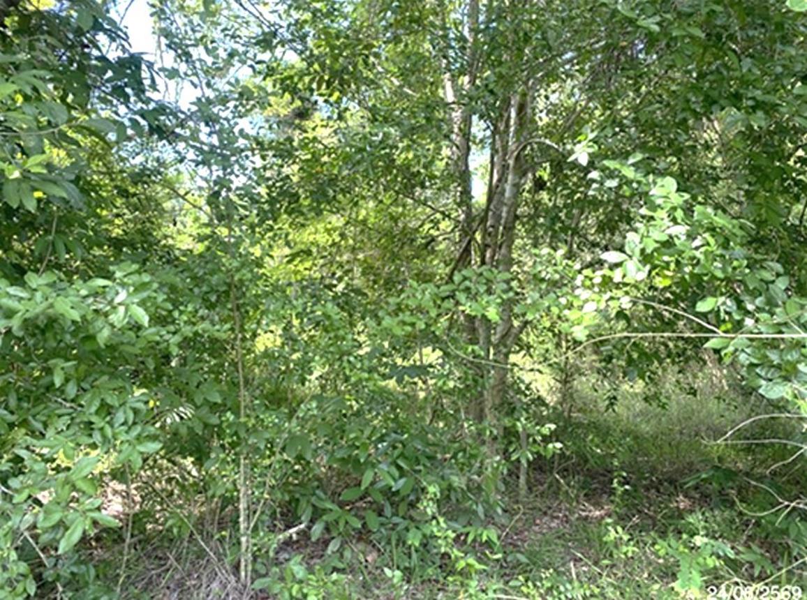 picture LAND 727.8 Sq.w. Rattaphum Songkhla for 8M - 11/21