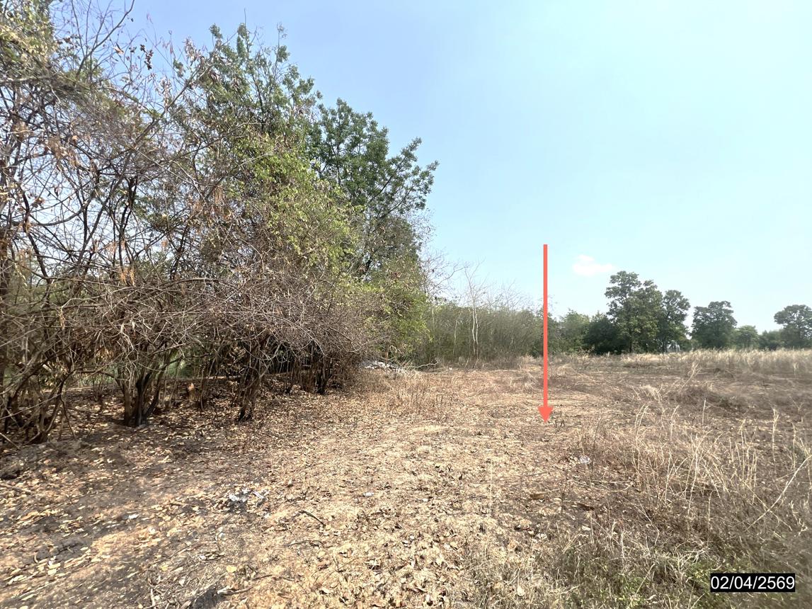 picture LAND 5419.4 Sq.w. Muang Chaiyaphum Chaiyaphum for 2.4M - 20/25