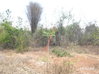listing thumbnail image 20