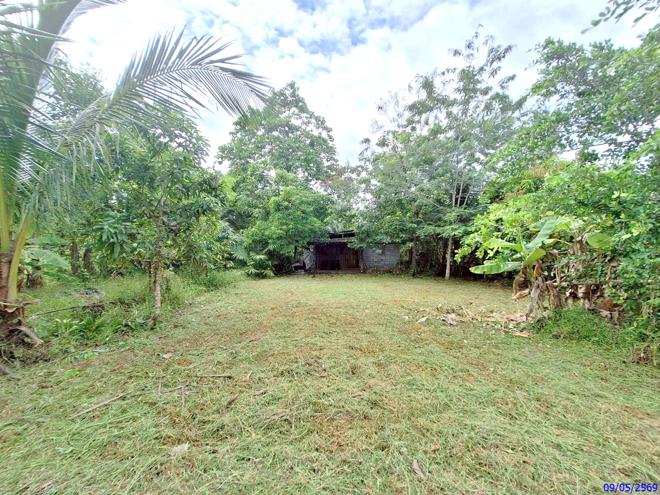 picture HOME 170 Sq.w. Muang Phatthalung Phatthalung for 1.1M - 2/29