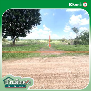 picture LAND 5205 Sq.w. Khao Suan Kwang Khon Kaen for 2.6M - 21/23