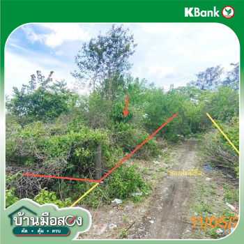 picture LAND 150 Sq.w. Muang Krabi Krabi for 995,000 - 13/15