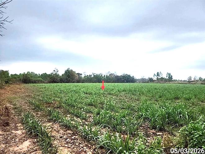 picture LAND 5154 Sq.w. Phon Thong Roi Et for 3.9M - 8/19