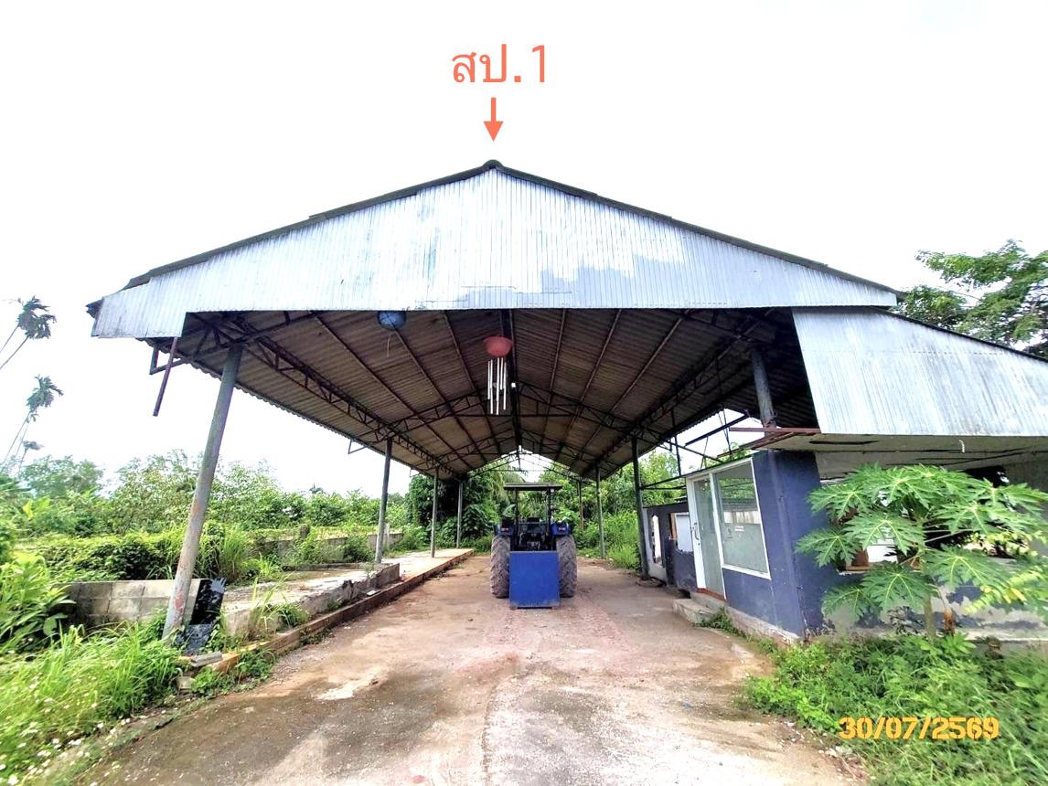 รูป โกดัง 622.6 ตร.วา เมืองสุราษฎร์ธานี สุราษฎร์ธานี 2.7M - รูปที่ 16/25