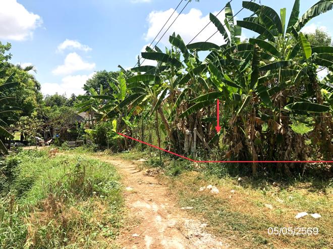 picture LAND 1271.2 Sq.w. Sawankhalok Sukhothai for 4.2M - 6/21