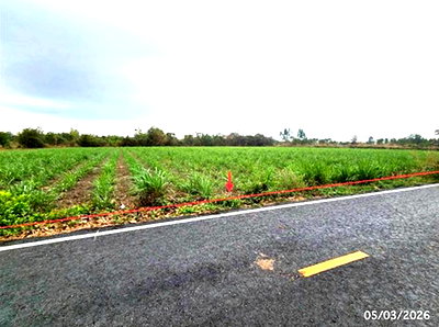 Land for sale Phon Thong Roi Et : LAND 5154 Sq.w. Phon Thong Roi Et for 3.9M