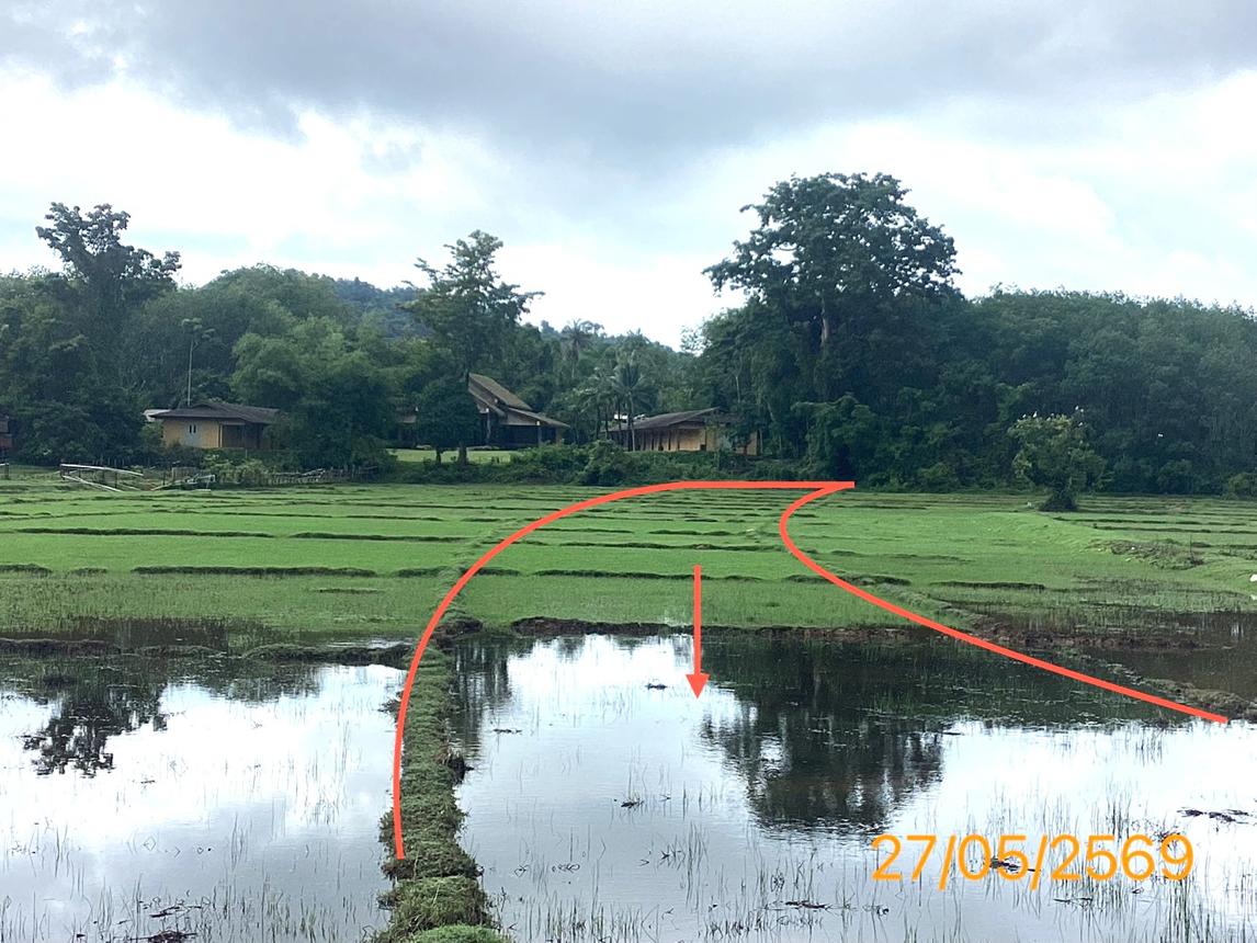 รูป ที่ดินว่างเปล่า 463 ตร.วา เกาะยาว พังงา 2M - รูปที่ 9/15