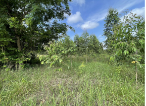 picture PROPERTY 21178 Sq.w. Watthana Nakhon Srakaeo for 81.5M - 18/20