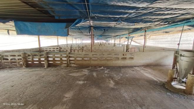 รูป ฟาร์ม 1603 ตร.วา เมืองพัทลุง พัทลุง 5.7M - รูปที่ 18/43
