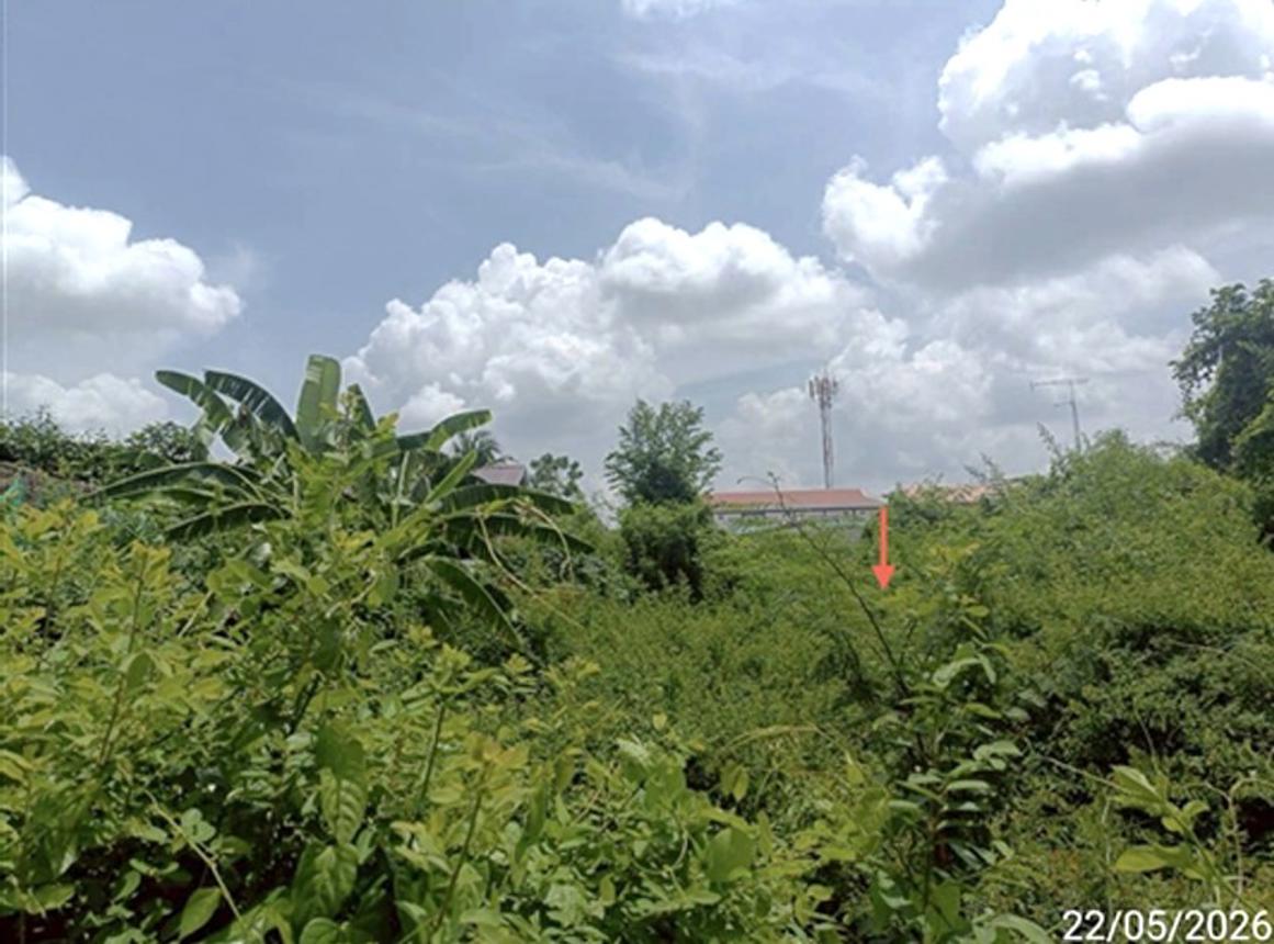 picture LAND 247 Sq.w. Muang Maha Sarakham Maha Sarakham for 2.5M - 13/19