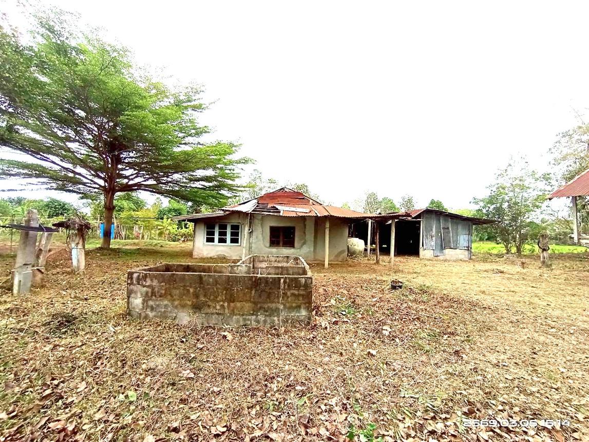 picture HOME 825 Sq.w. Muang Kalasin Kalasin for 1.2M - 17/35