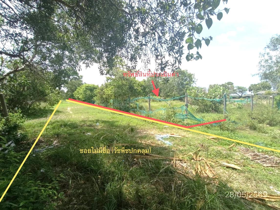 รูป ที่ดินว่างเปล่า 291.3 ตร.วา สทิงพระ สงขลา 826,000 - รูปที่ 21/25
