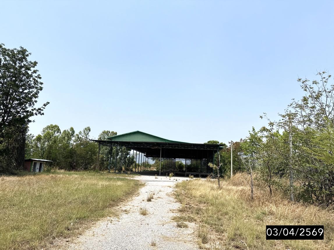 รูป บ้านเดี่ยว 2400 ตร.วา ภูเขียว ชัยภูมิ 5.9M - รูปที่ 33/37