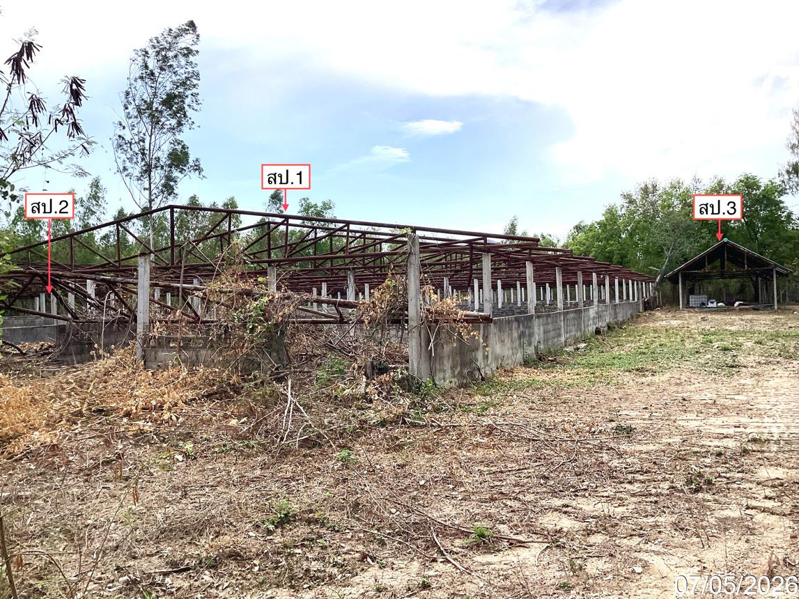 รูป ฟาร์ม 910.1 ตร.วา แก่งกระจาน เพชรบุรี 963,000 - รูปที่ 13/25