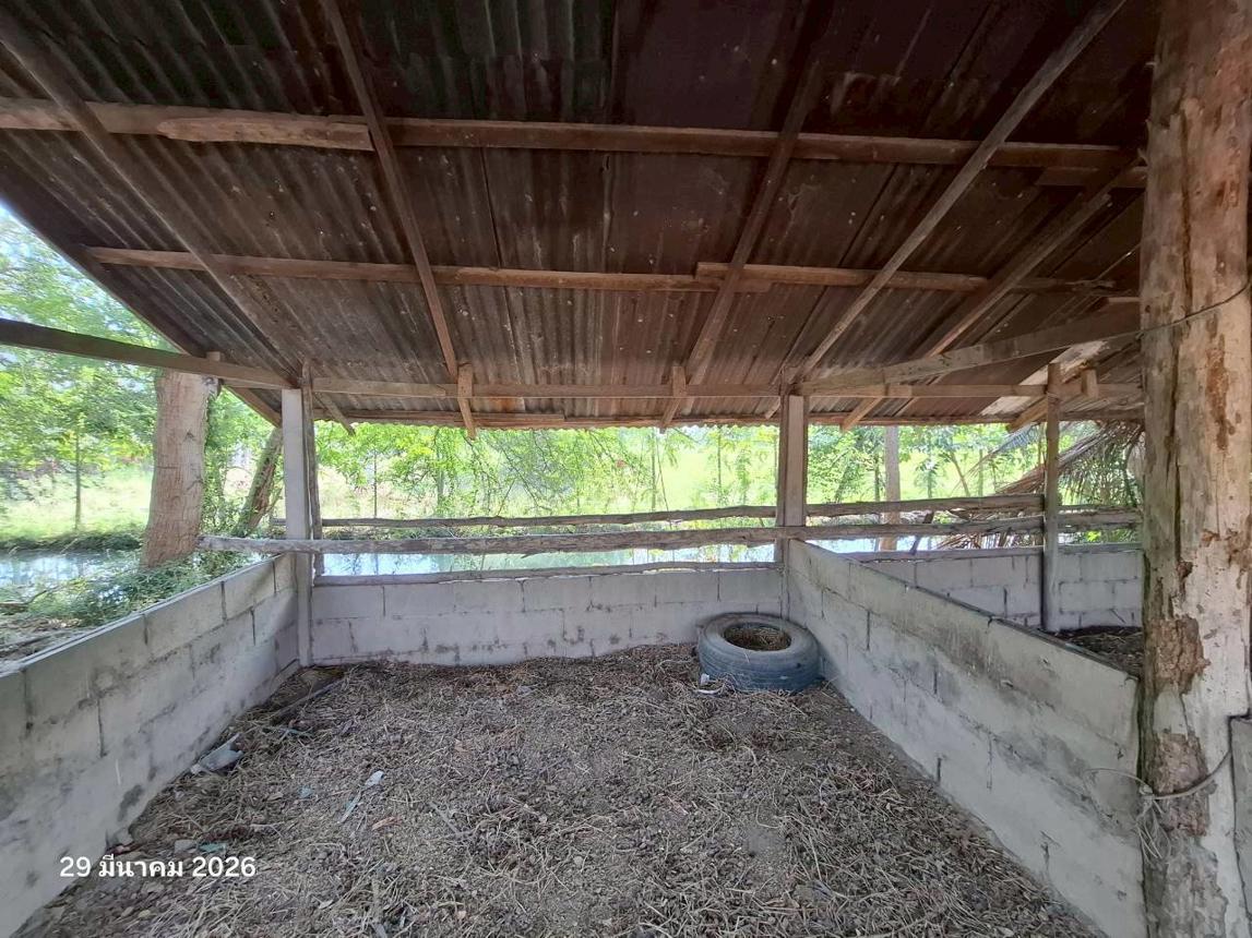 รูป บ้านเดี่ยว 6918 ตร.วา บึงสามัคคี กำแพงเพชร 11.1M - รูปที่ 102/107