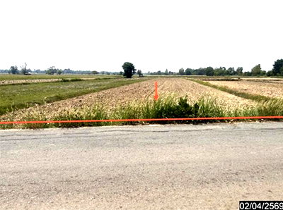 ที่ดิน กาฬสินธุ์ : ที่ดินว่างเปล่า 1315 ตร.วา หนองกุงศรี กาฬสินธุ์ 704,000