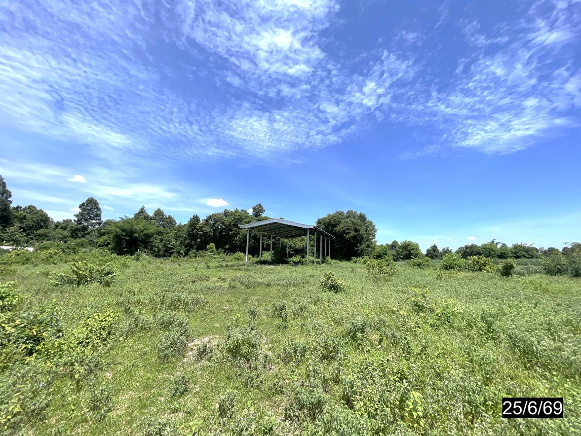 รูป ที่ดินว่างเปล่า 646.8 ตร.วา ซำสูง ขอนแก่น 4.1M - รูปที่ 13/17