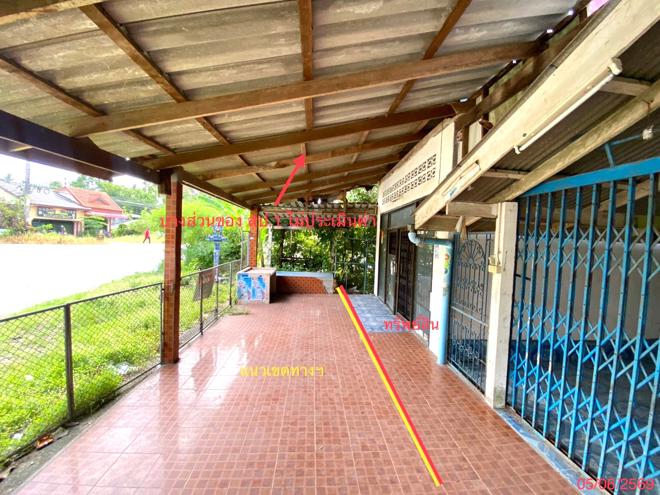 รูป บ้านเดี่ยว 77 ตร.วา ตะโหมด พัทลุง 1.1M - รูปที่ 17/37