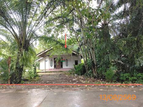picture HOME 268 Sq.w. Khao Phanom Krabi for 1.7M - 22/25