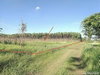 listing thumbnail image 21