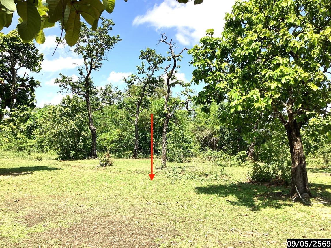 รูป ที่ดินว่างเปล่า 12389 ตร.วา กุสุมาลย์ สกลนคร 7.7M - รูปที่ 14/25