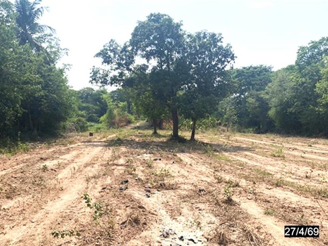 picture LAND 608 Sq.w. Nong Rua Khon Kaen for 380,000 - 6/15