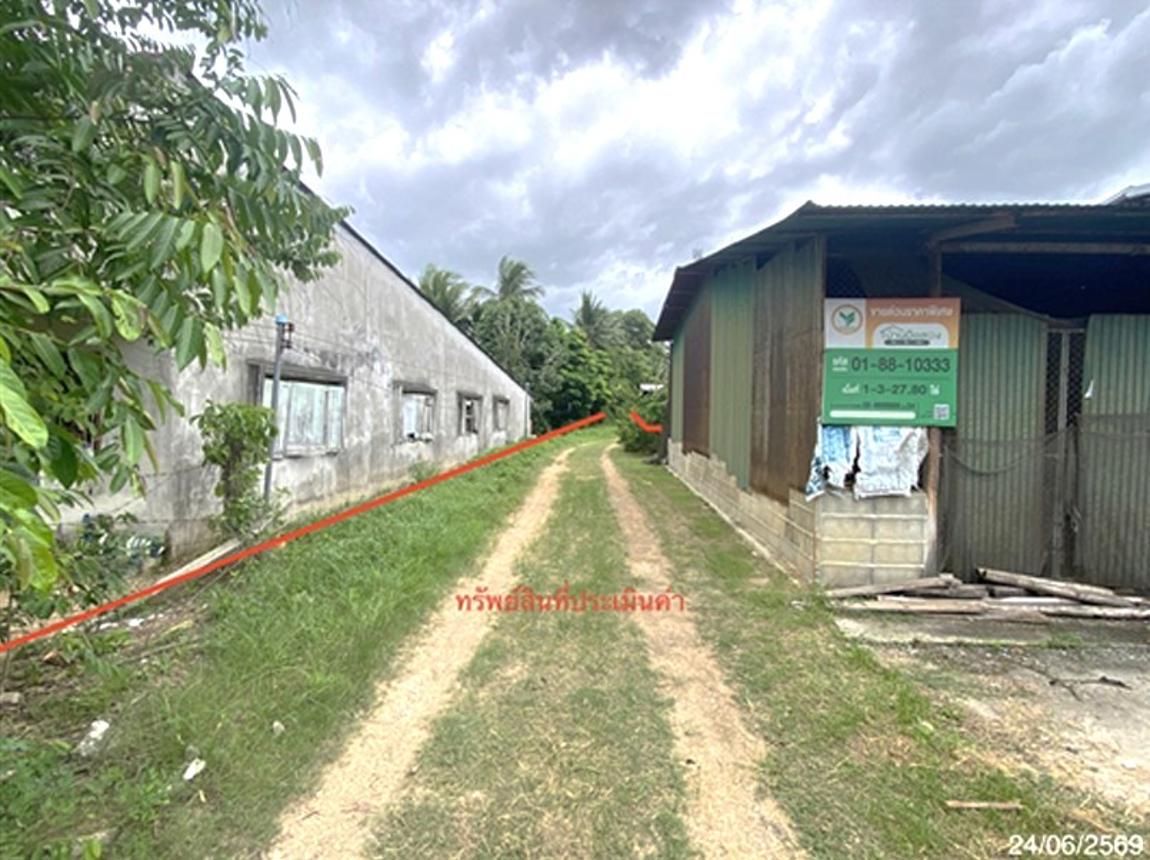 picture LAND 727.8 Sq.w. Rattaphum Songkhla for 8M - 16/21