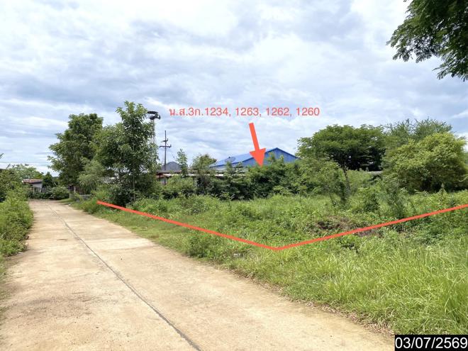 รูป เพิงอเนกประสงค์ 2059 ตร.วา นากลาง หนองบัวลำภู 10.8M - รูปที่ 11/41