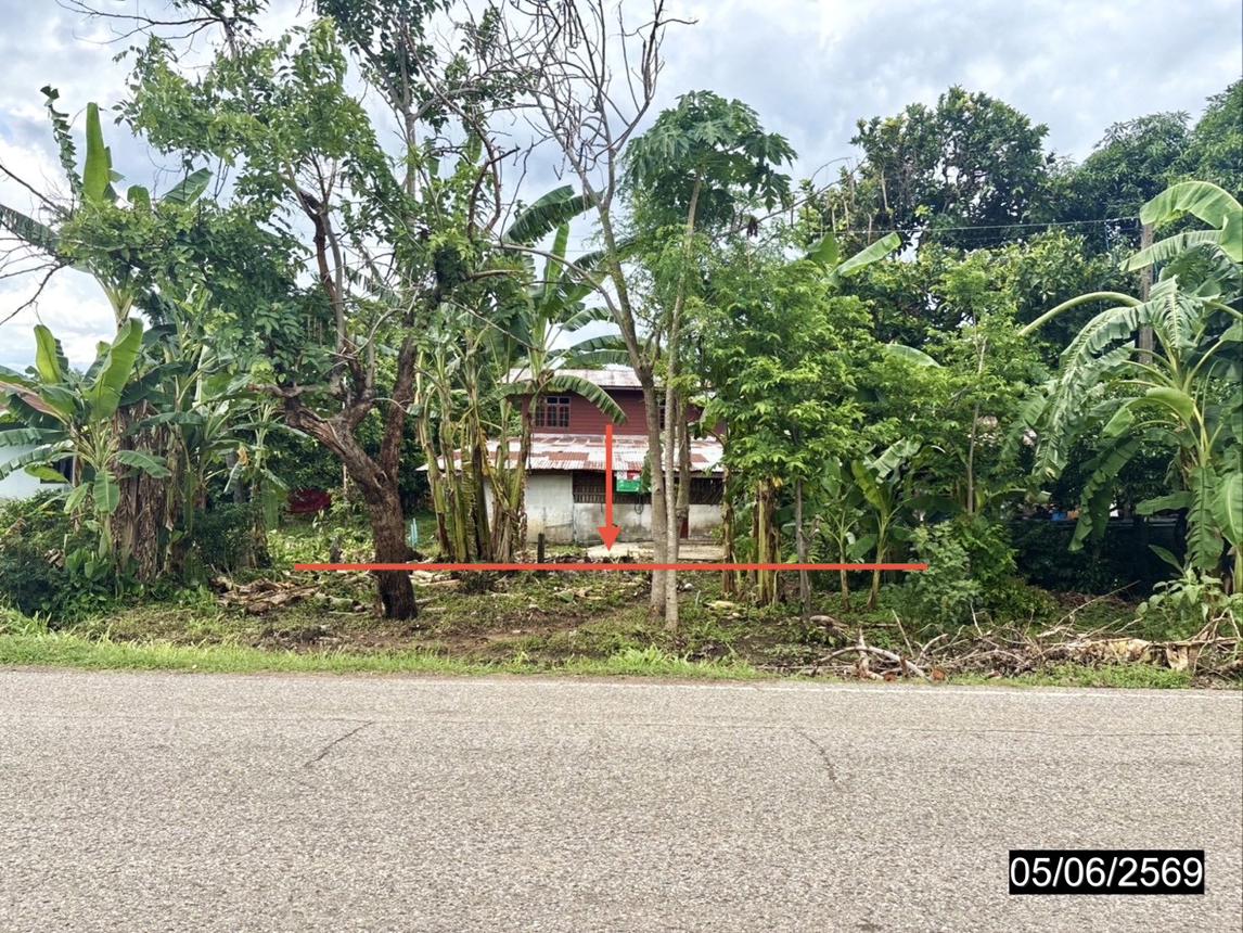รูป บ้านเดี่ยว 537 ตร.วา สหัสขันธ์ กาฬสินธุ์ 1.4M - รูปที่ 29/33