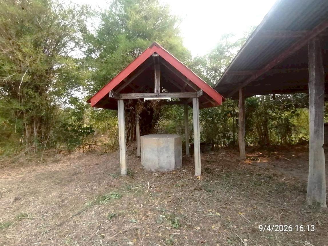 รูป บ้านเดี่ยว 810 ตร.วา ชุมแพ ขอนแก่น 3.3M - รูปที่ 51/59