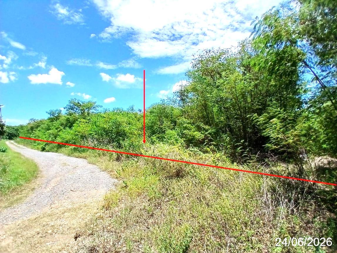 รูป ที่ดินว่างเปล่า 1980 ตร.วา วังม่วง สระบุรี 5.5M - รูปที่ 12/21