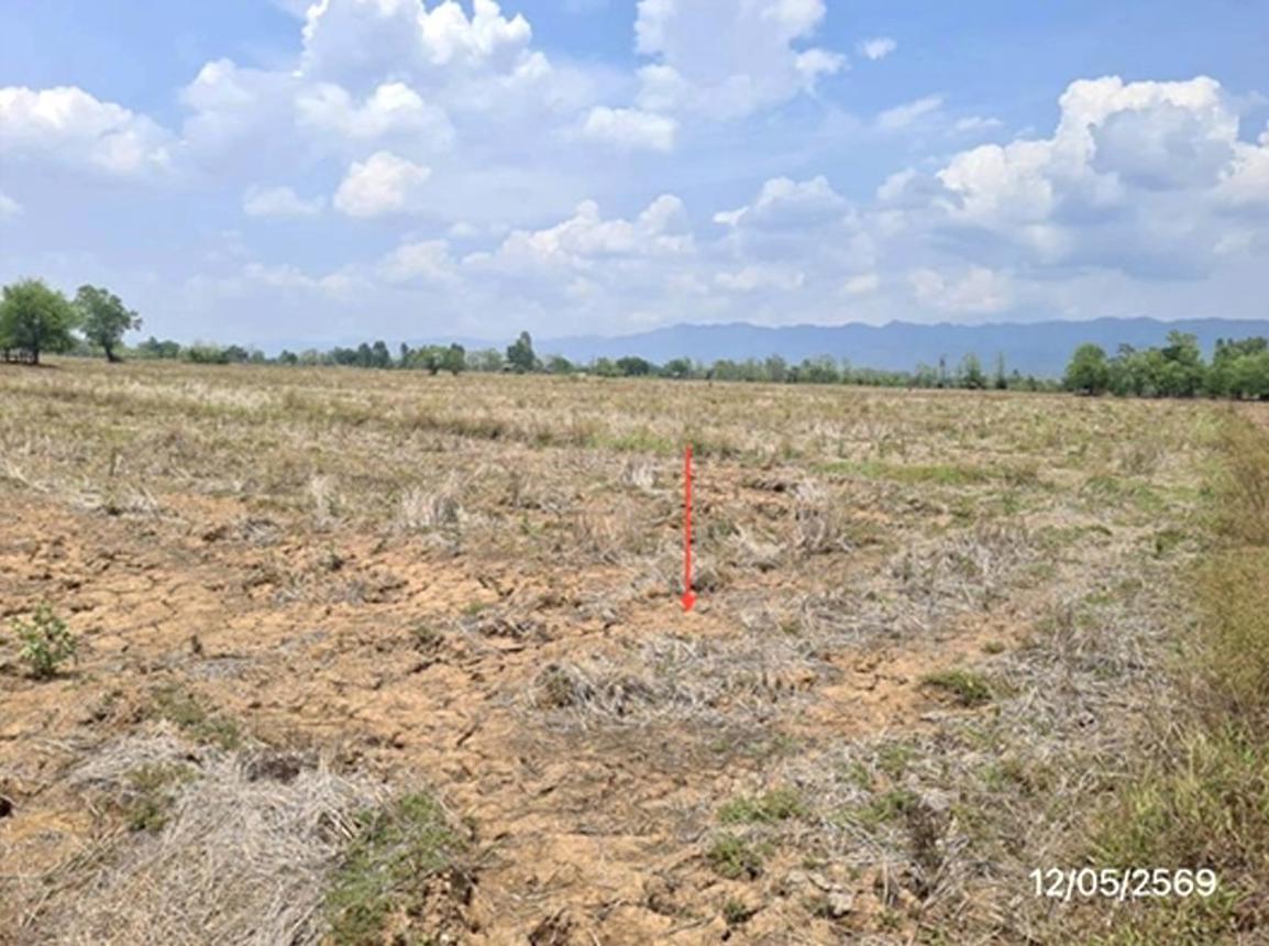 รูป ที่ดินว่างเปล่า 5493 ตร.วา ดอกคำใต้ พะเยา 1.9M - รูปที่ 9/15