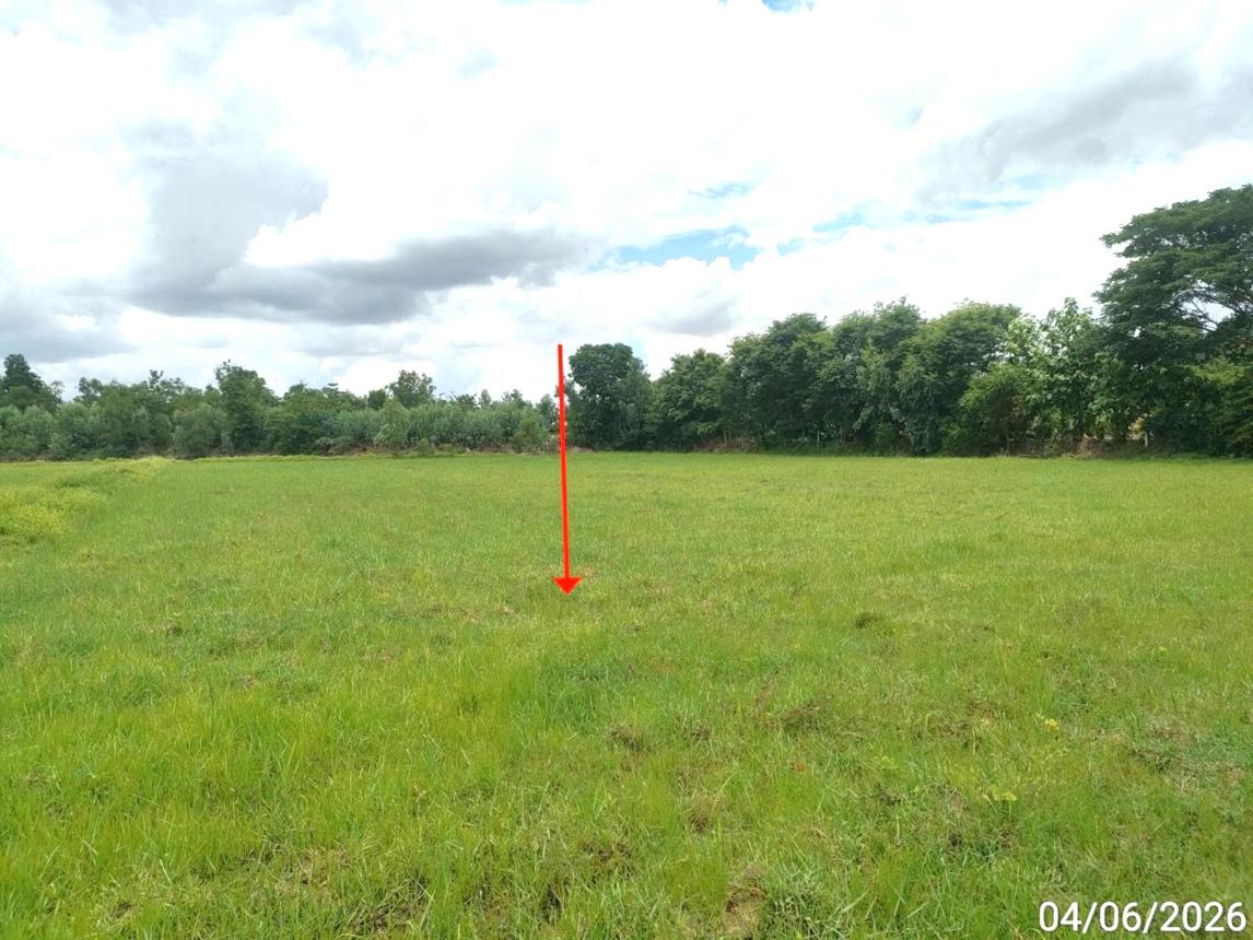 picture LAND 1106 Sq.w. Kaset Wisai Roi Et for 1.2M - 7/11