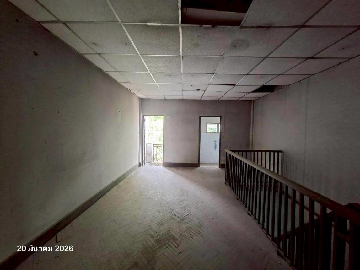 picture SHOP HOUSE 71 Sq.w. Fang Chiang Mai for 1.6M - 44/59