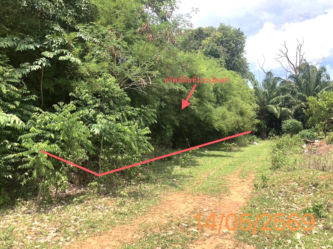 รูป ที่ดินว่างเปล่า 1120 ตร.วา คลองท่อม กระบี่ 2M - รูปที่ 9/17