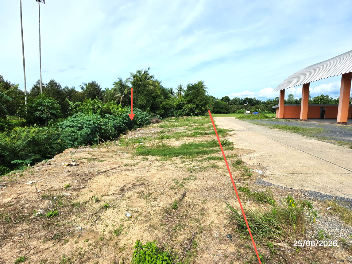รูป ที่ดินว่างเปล่า 442 ตร.วา กาญจนดิษฐ์ สุราษฎร์ธานี 1.9M - รูปที่ 15/25
