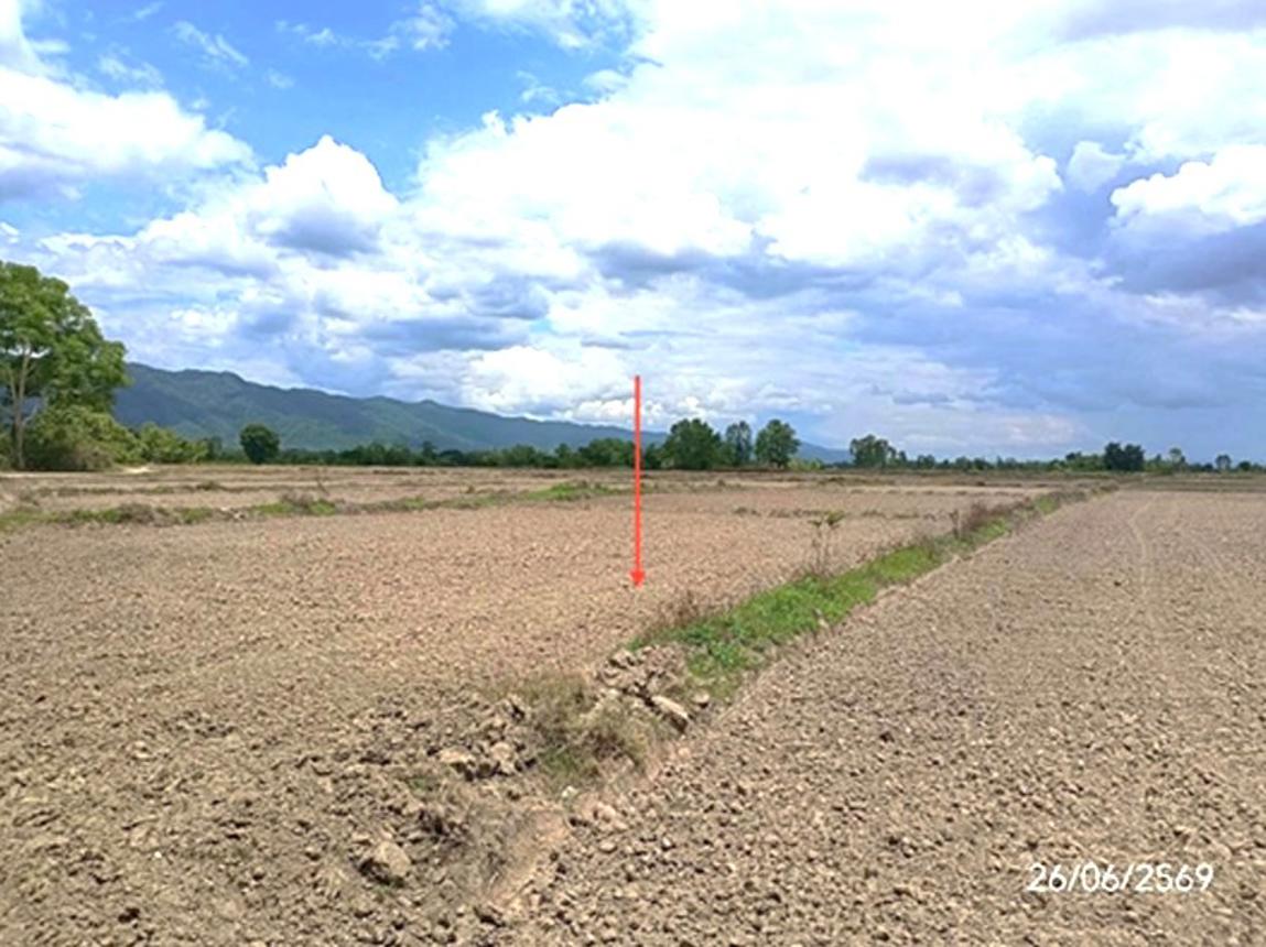 รูป ที่ดินว่างเปล่า 5578 ตร.วา ดอกคำใต้ พะเยา 2.5M - รูปที่ 13/17